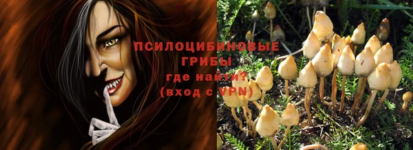 spice Бронницы